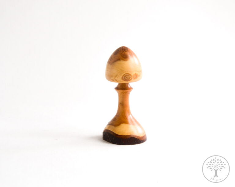 Rhizaum Nicolas Fouilloud tournagesurbois artisanat woodturning madeinfrance art wood design 6 3