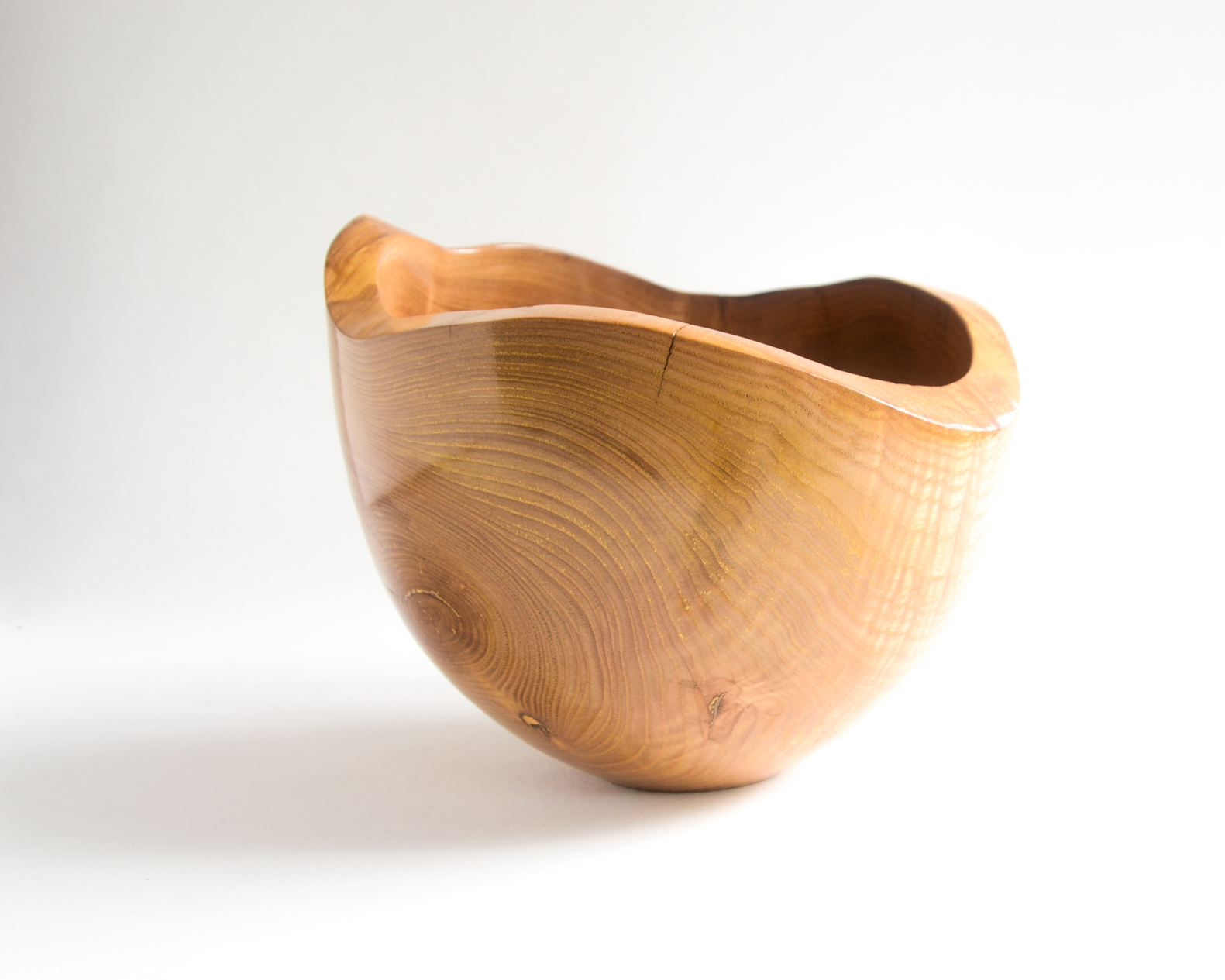 Rhizaum Nicolas Fouilloud tournagesurbois artisanat woodturning madeinfrance art wood design 8