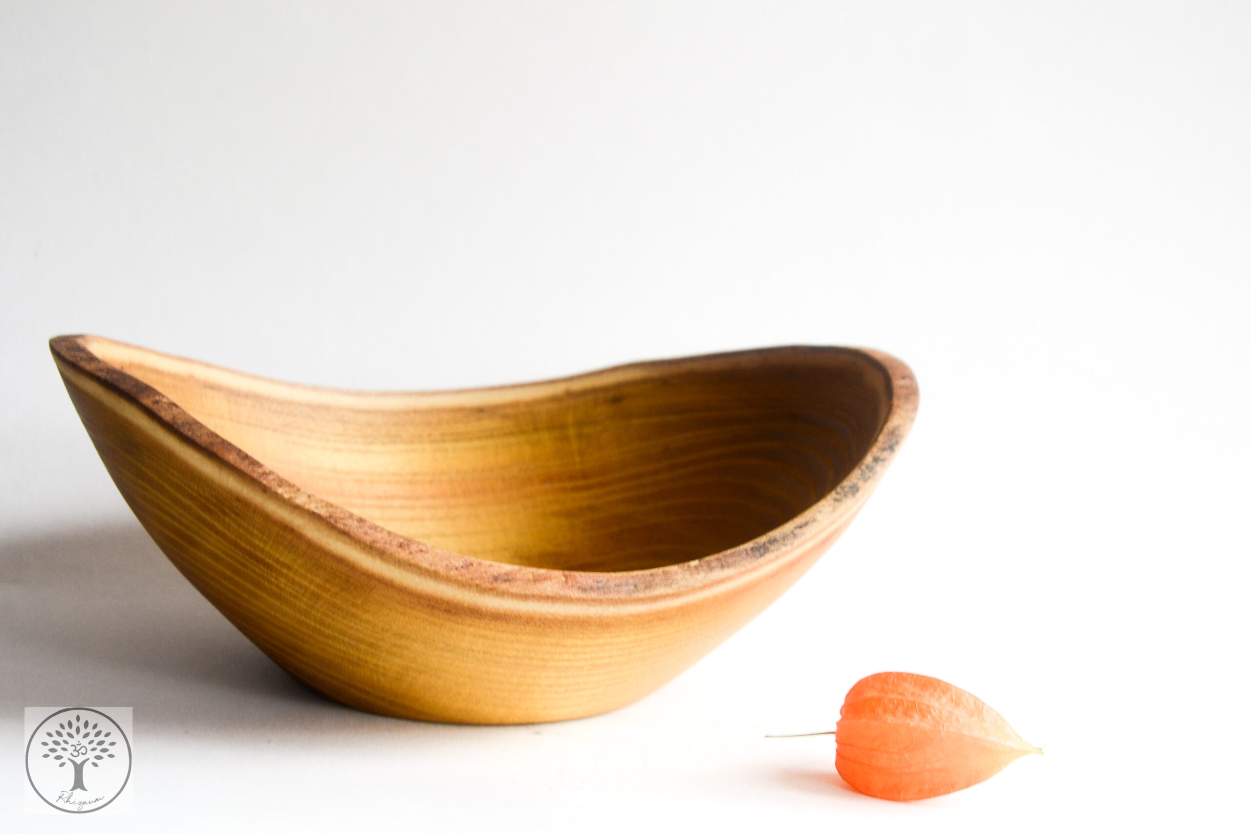 Rhizaum Nicolas Fouilloud woodturning tournagesurbois créateurfrançais artisanatfrançais artisandubois 15