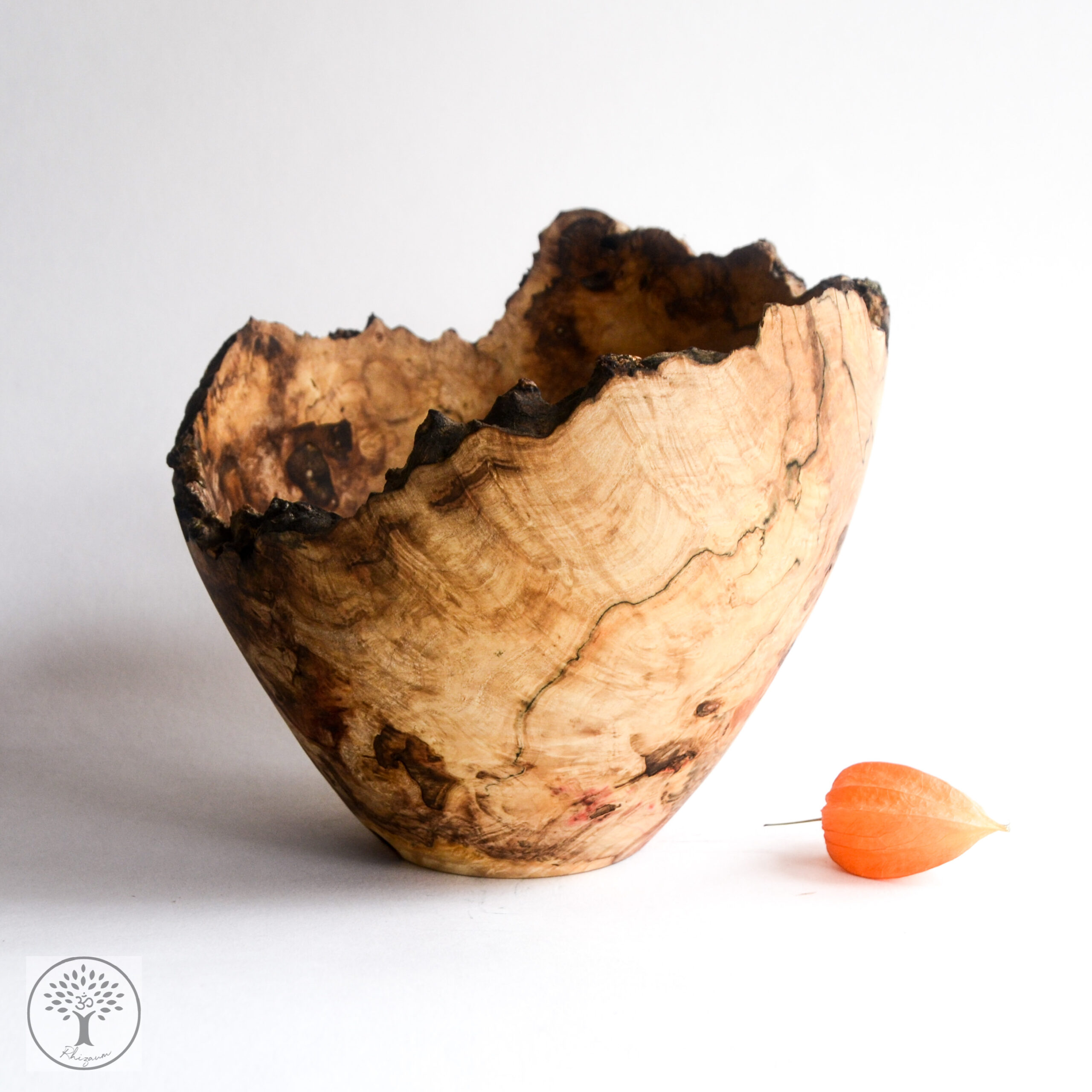 Rhizaum Nicolas Fouilloud woodturning tournagesurbois créateurfrançais artisanatfrançais artisandubois 5