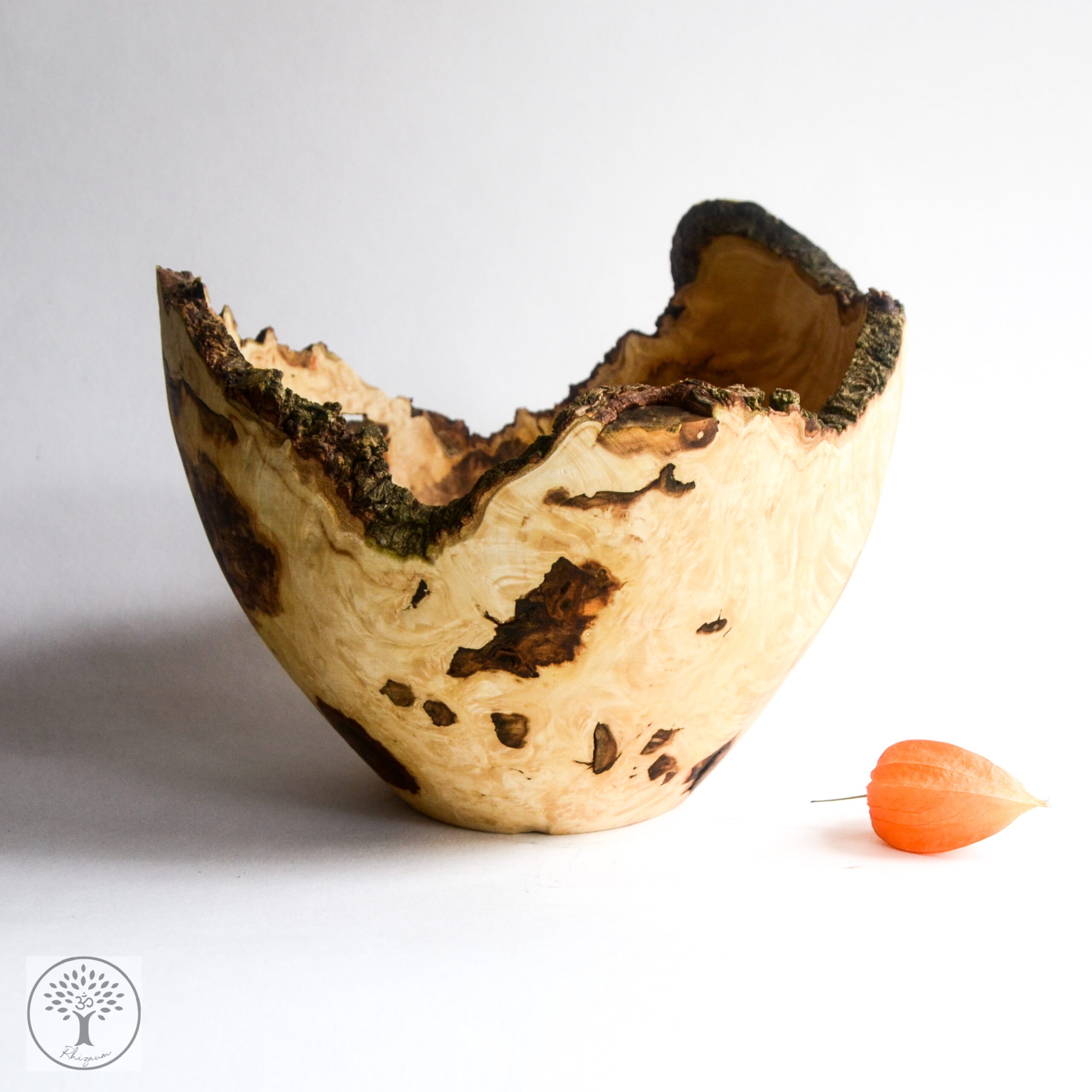Rhizaum Nicolas Fouilloud woodturning tournagesurbois créateurfrançais artisanatfrançais artisandubois 7