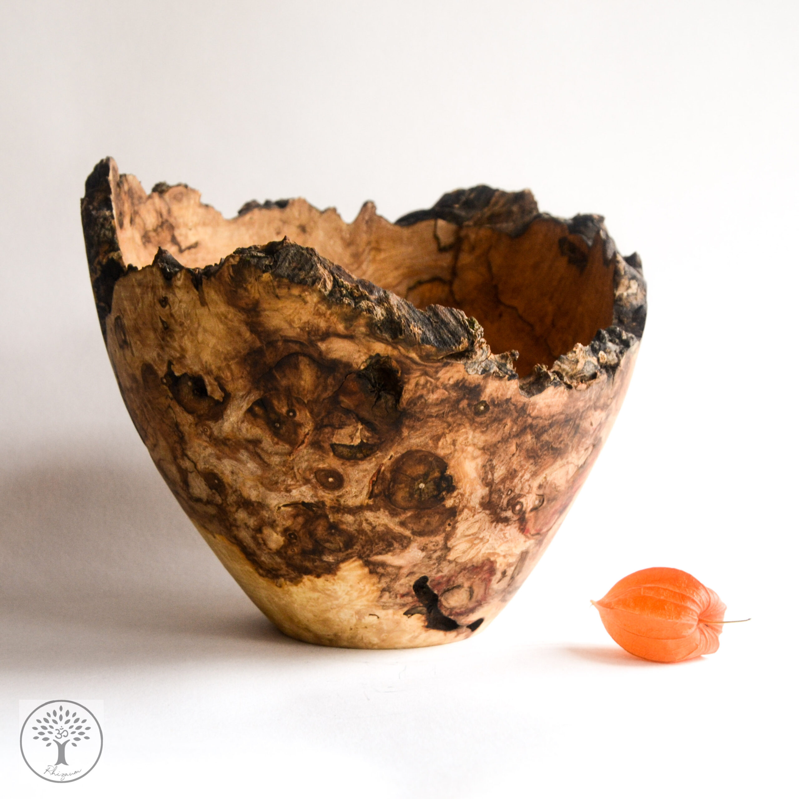Rhizaum Nicolas Fouilloud woodturning tournagesurbois créateurfrançais artisanatfrançais artisandubois