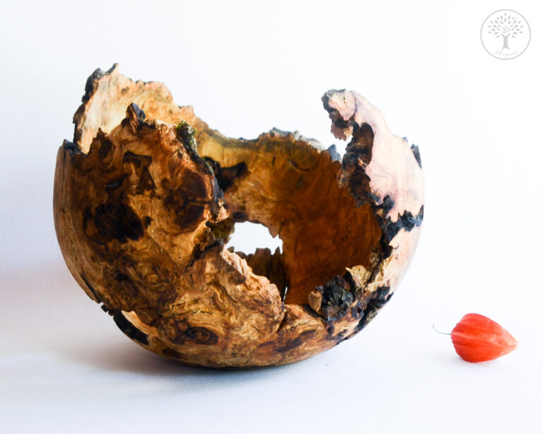 Rhizaum Nicolas Fouilloud woodturning tournagesurbois créateurfrançais artisanatfrançais artisandubois 15