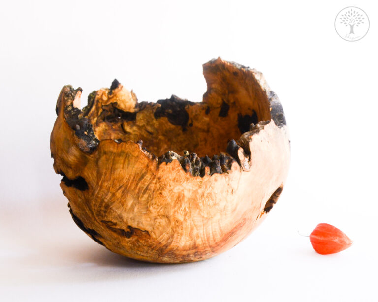 Rhizaum Nicolas Fouilloud woodturning tournagesurbois créateurfrançais artisanatfrançais artisandubois 16