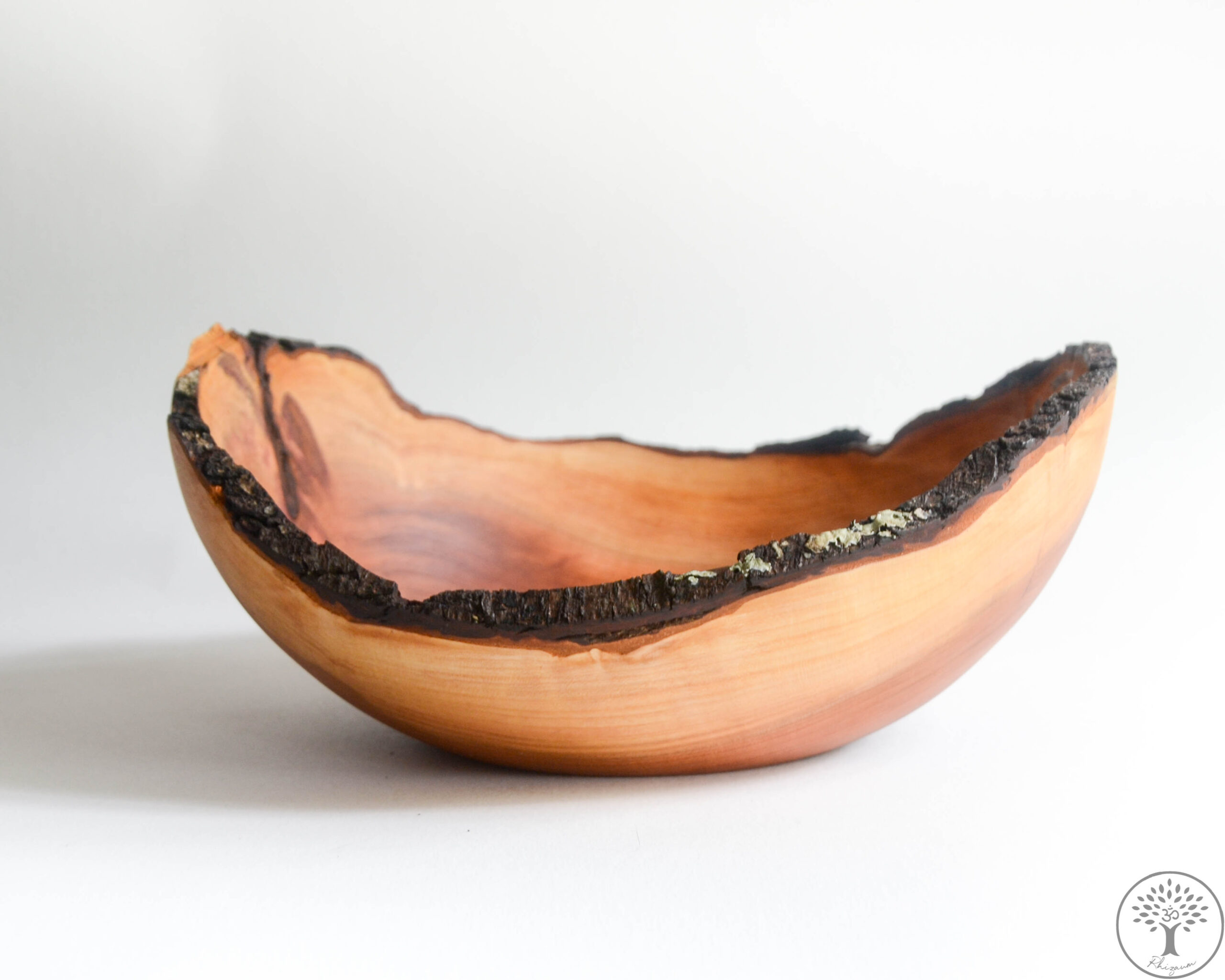 Nicolas Fouilloud Rhizaum tournage sur bois woodturning france art 10