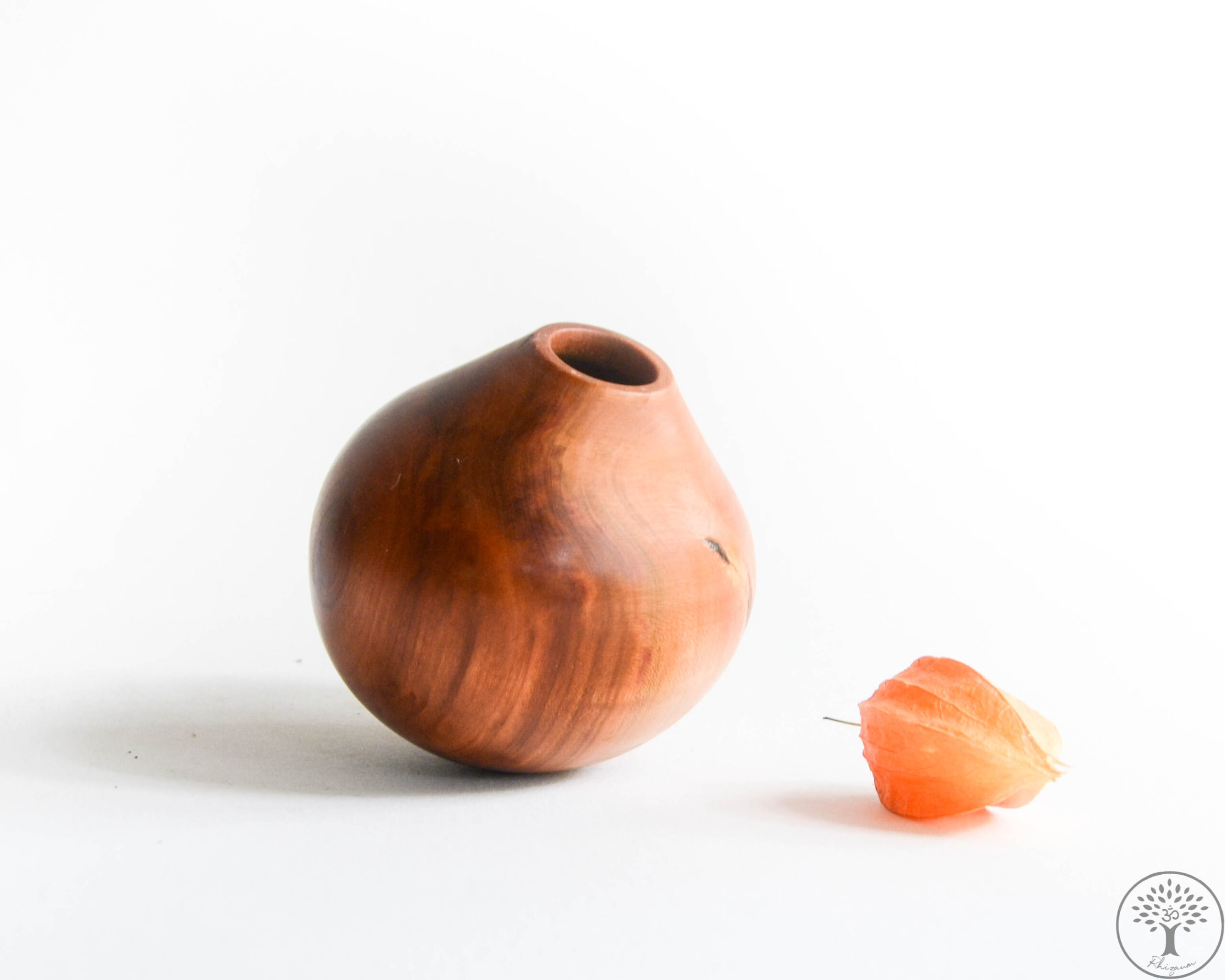 Nicolas Fouilloud Rhizaum tournage sur bois woodturning france art 13