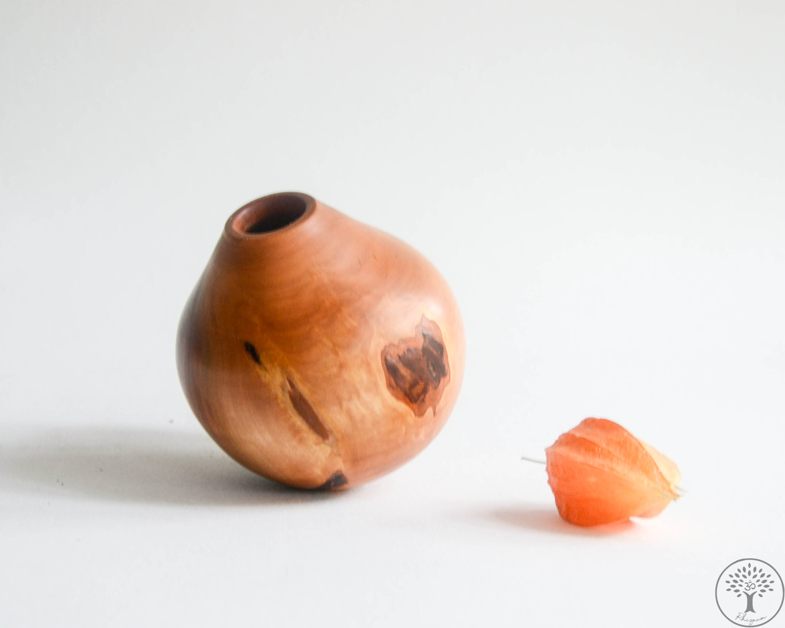 Nicolas Fouilloud Rhizaum tournage sur bois woodturning france art 14