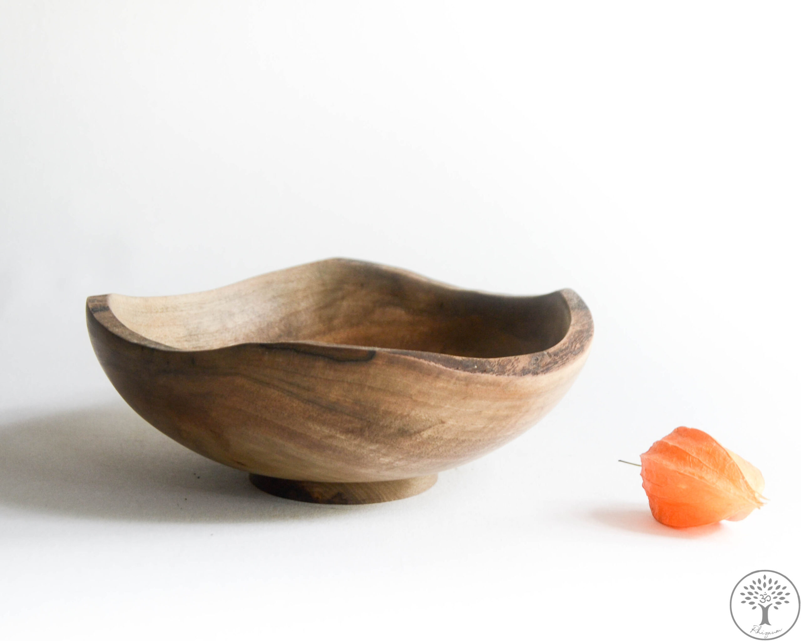 Nicolas Fouilloud Rhizaum tournage sur bois woodturning france art 17