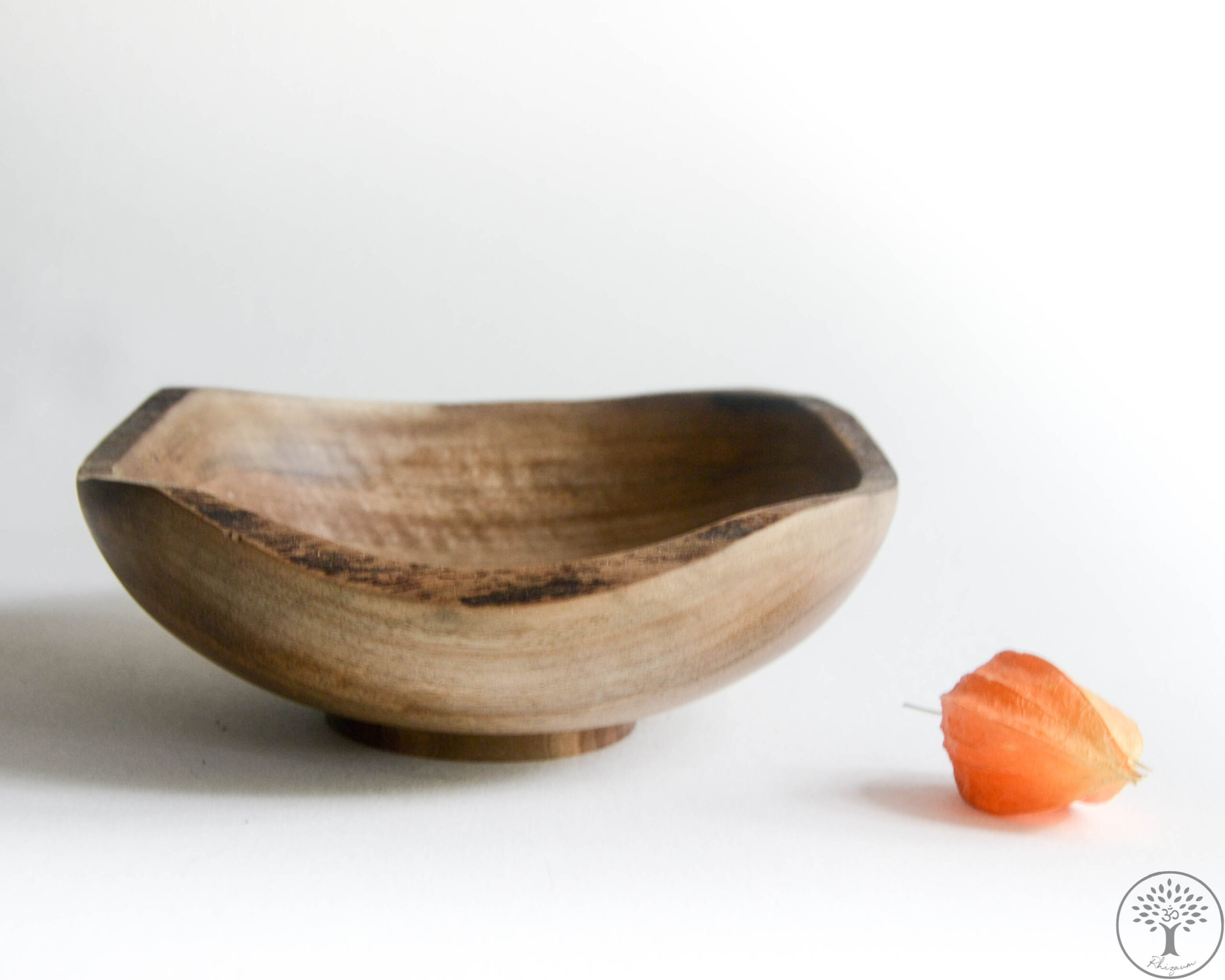 Nicolas Fouilloud Rhizaum tournage sur bois woodturning france art 18