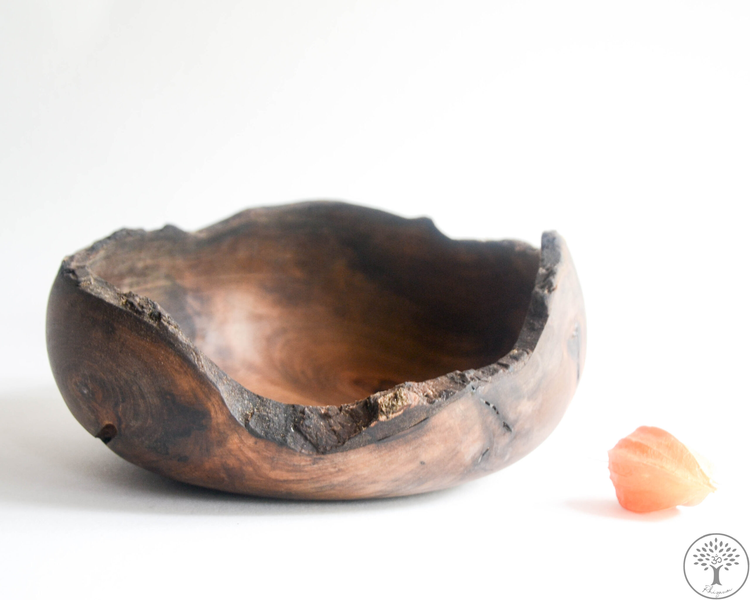 Nicolas Fouilloud Rhizaum tournage sur bois woodturning france art 19
