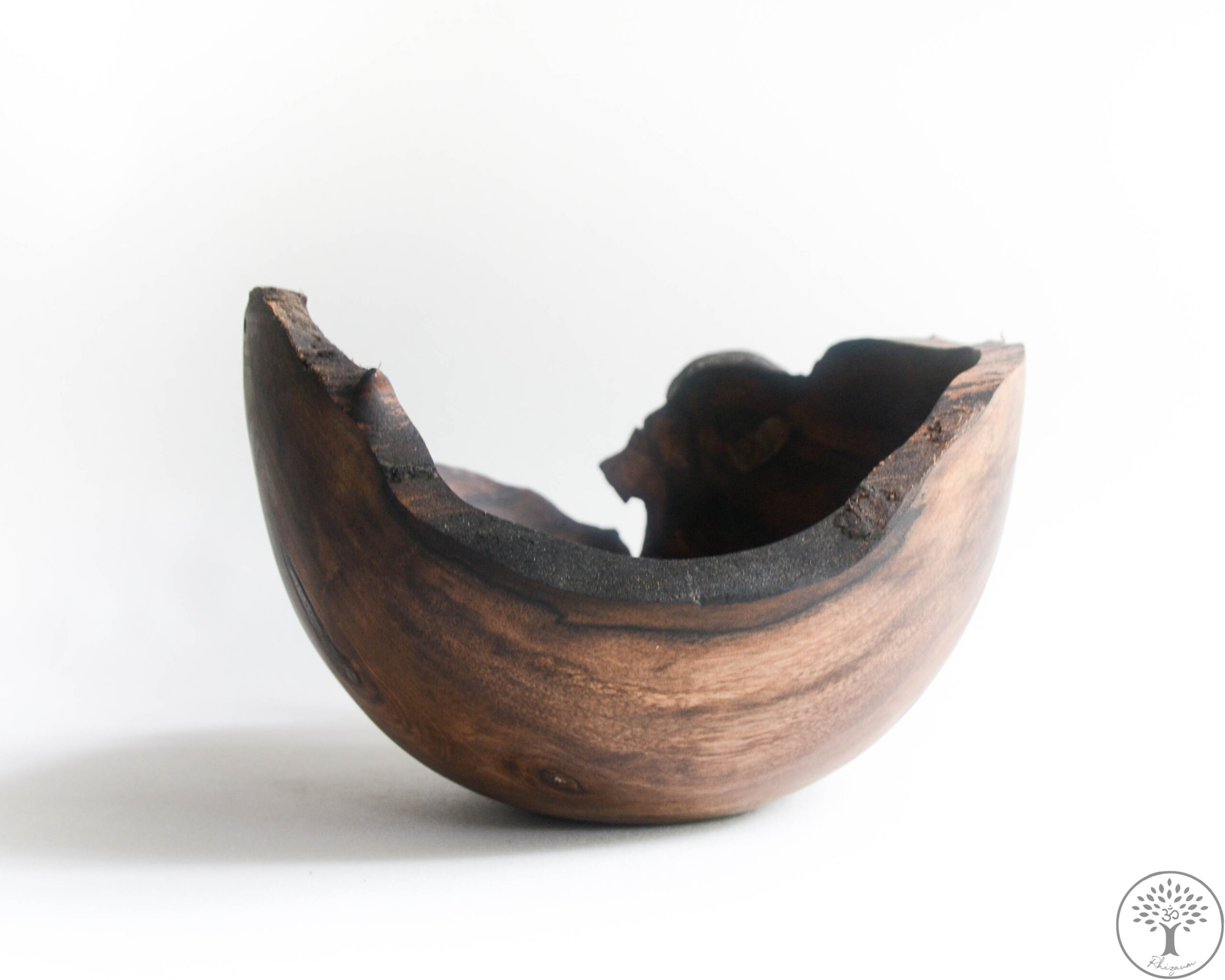 Nicolas Fouilloud Rhizaum tournage sur bois woodturning france art 2