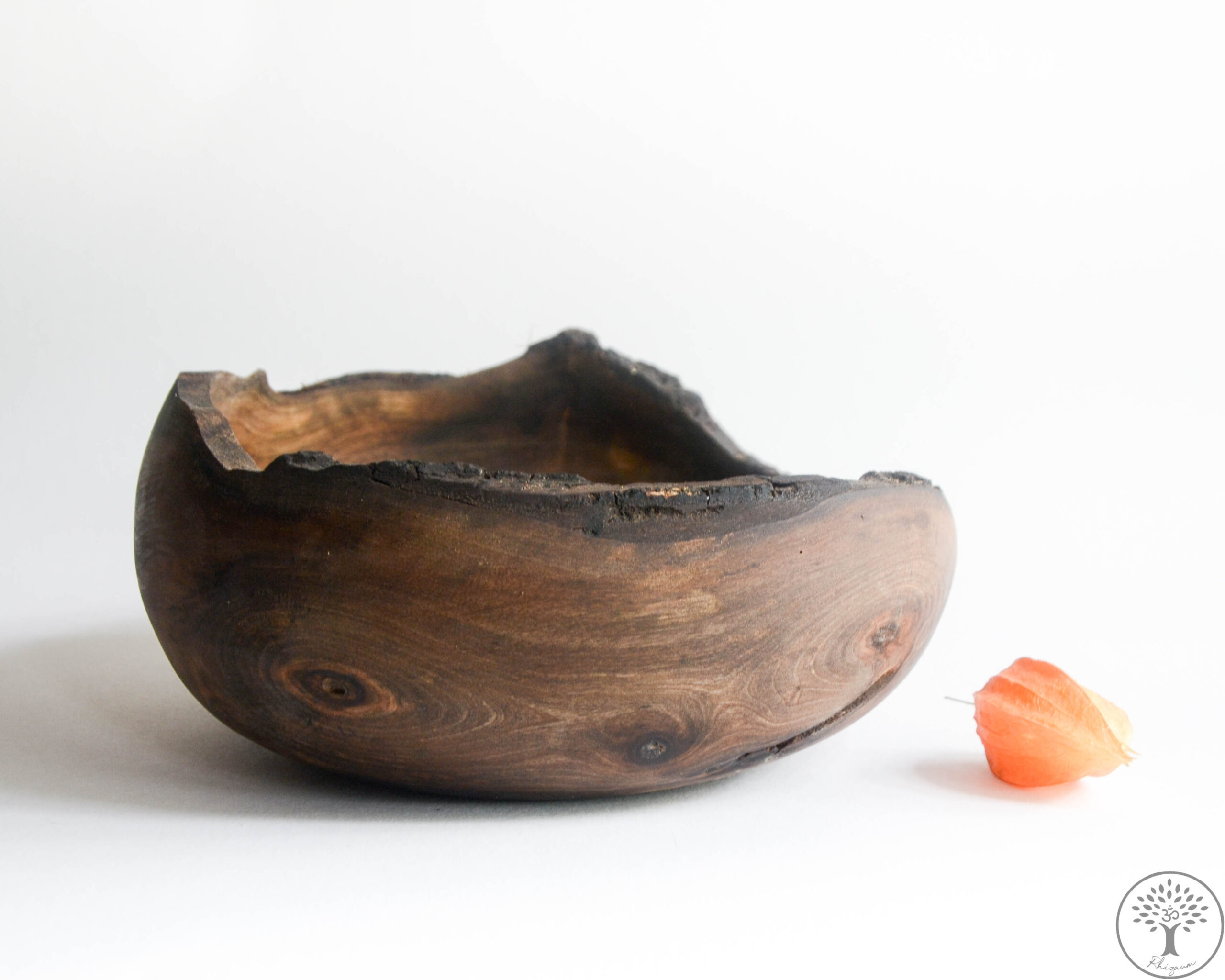 Nicolas Fouilloud Rhizaum tournage sur bois woodturning france art 20
