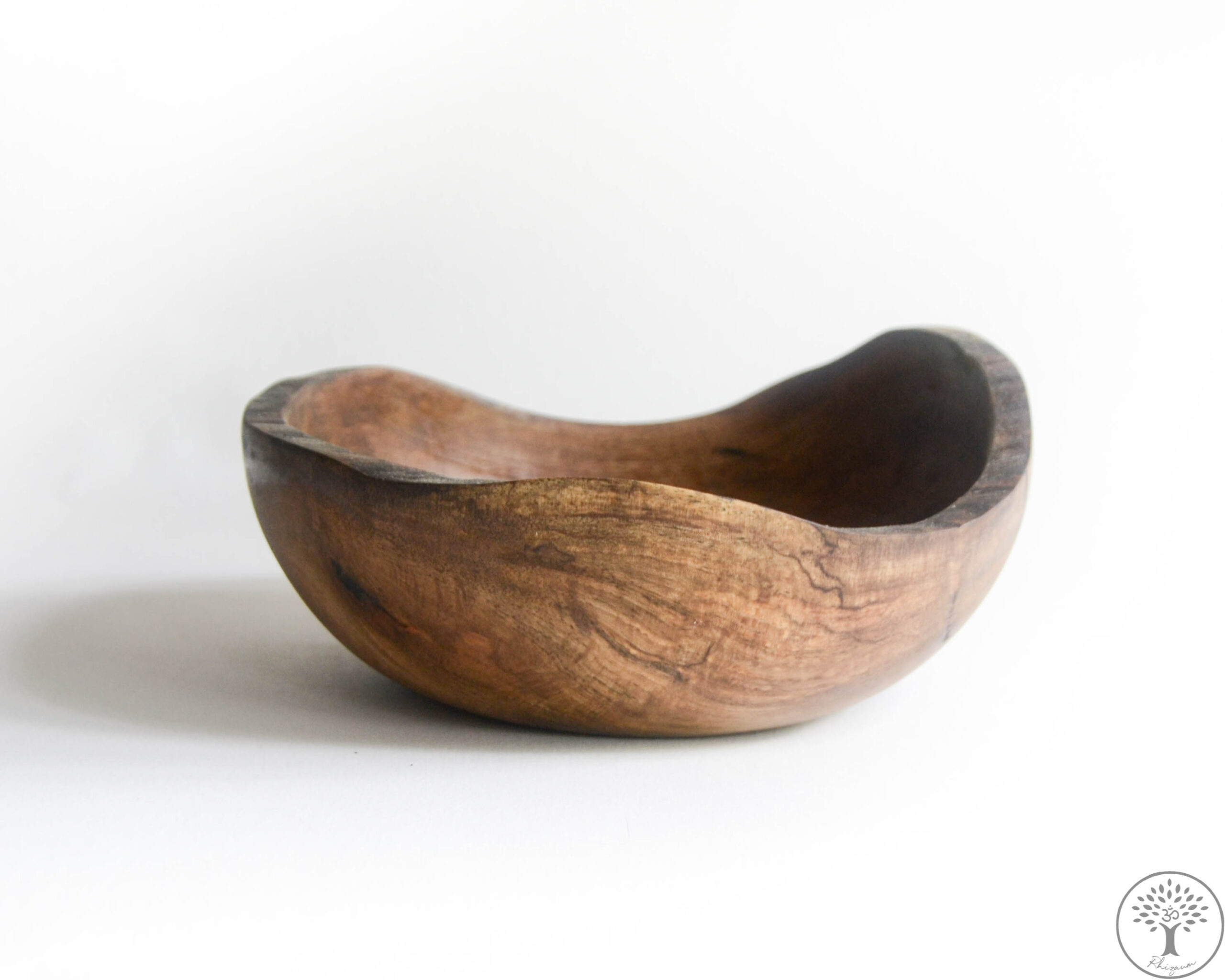 Nicolas Fouilloud Rhizaum tournage sur bois woodturning france art 3
