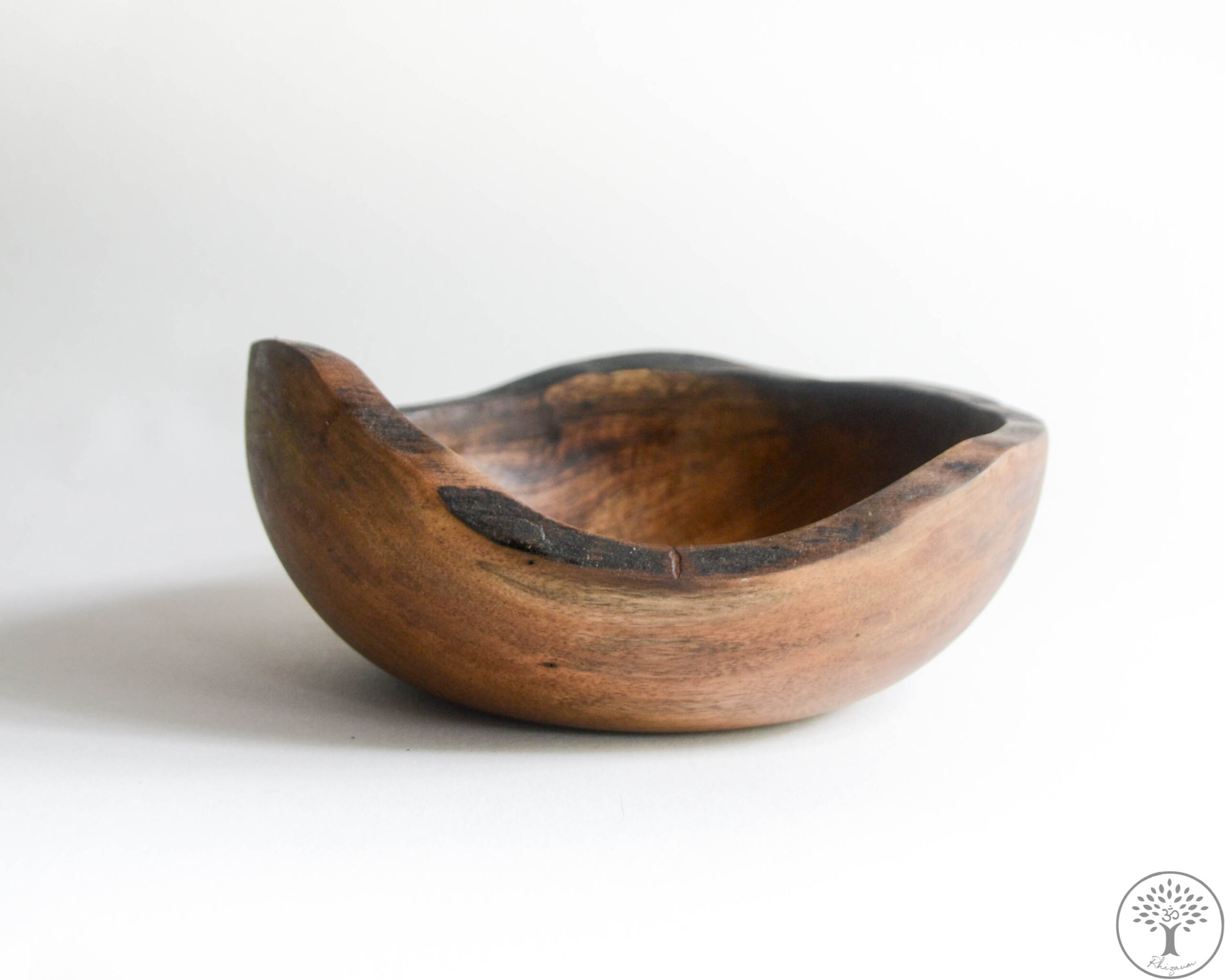 Nicolas Fouilloud Rhizaum tournage sur bois woodturning france art 4