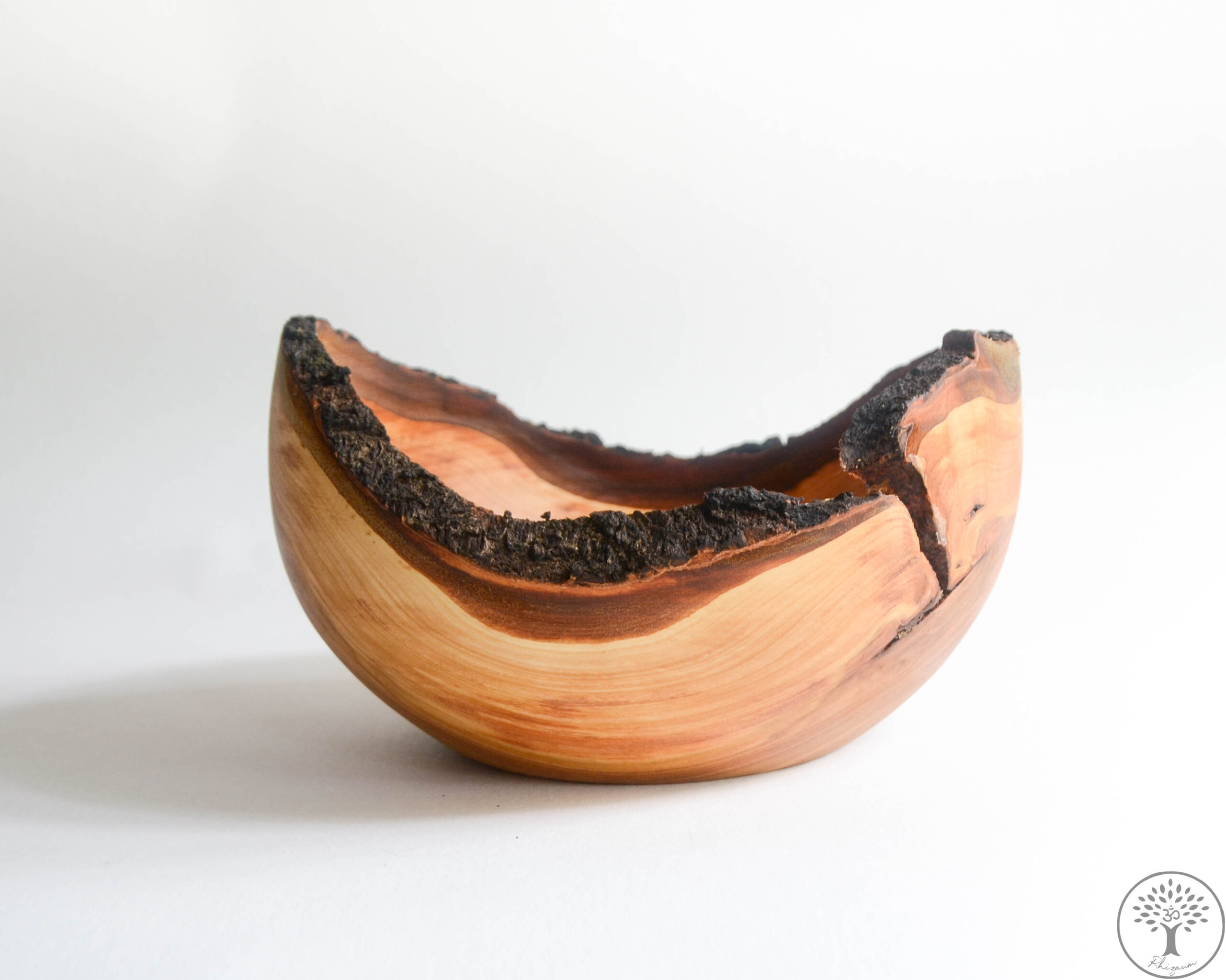 Nicolas Fouilloud Rhizaum tournage sur bois woodturning france art 7