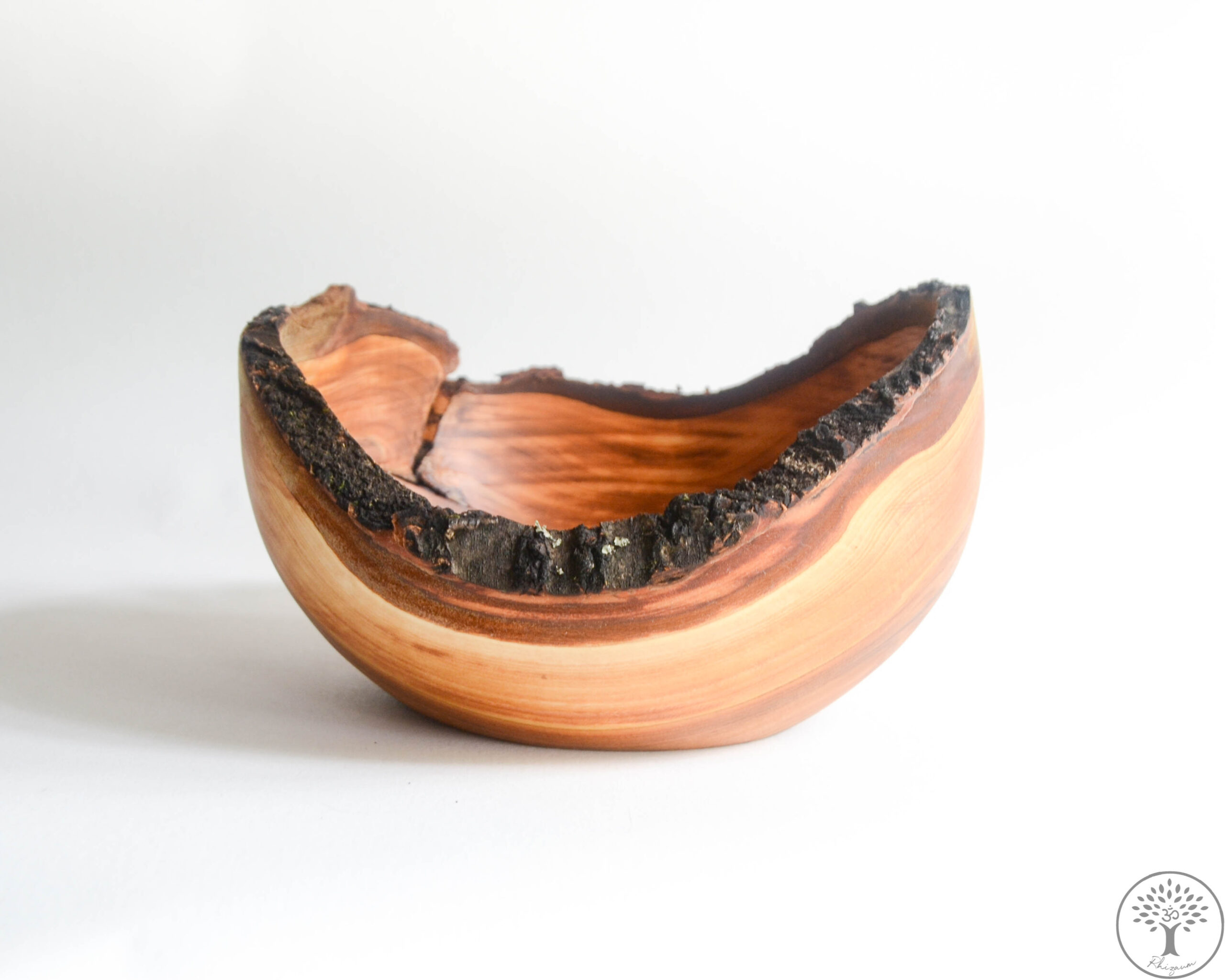Nicolas Fouilloud Rhizaum tournage sur bois woodturning france art 8
