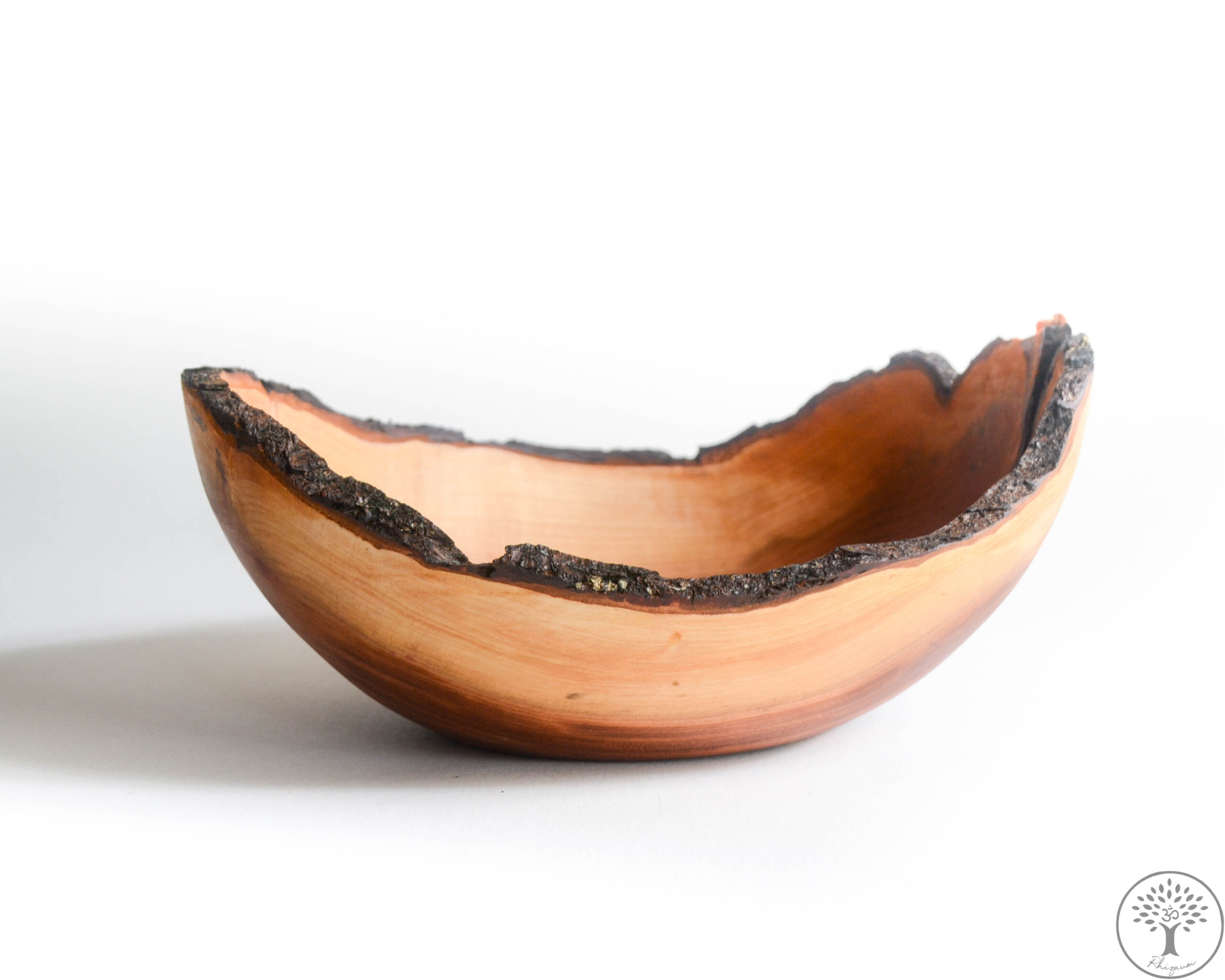 Nicolas Fouilloud Rhizaum tournage sur bois woodturning france art 9
