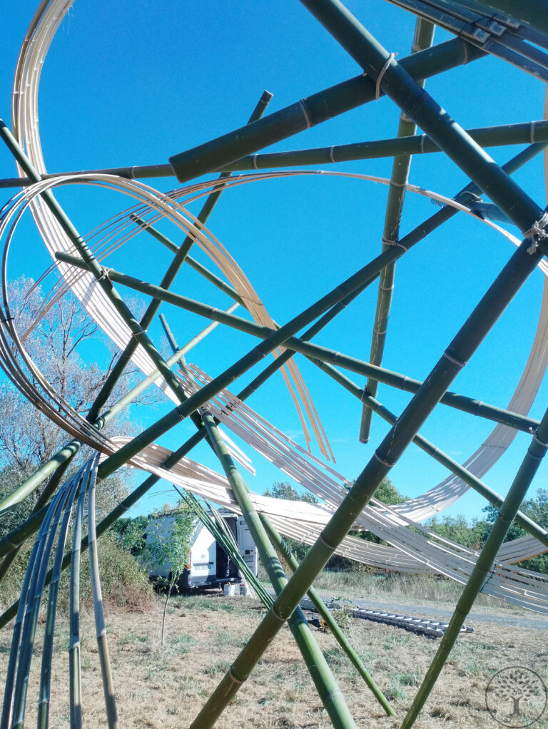 Nicolas Fouilloud Rhizaum artist bamboo sentiers des arts royan 4