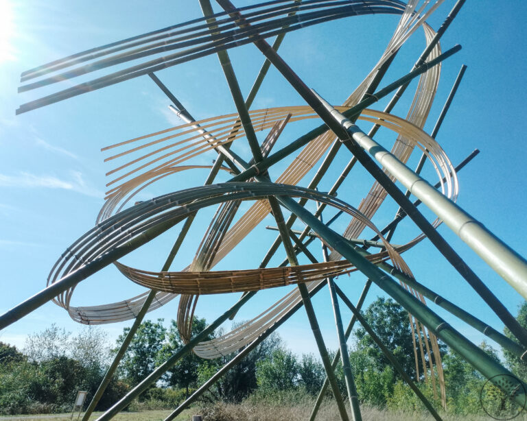 Nicolas Fouilloud Rhizaum artist bamboo sentiers des arts royan 5