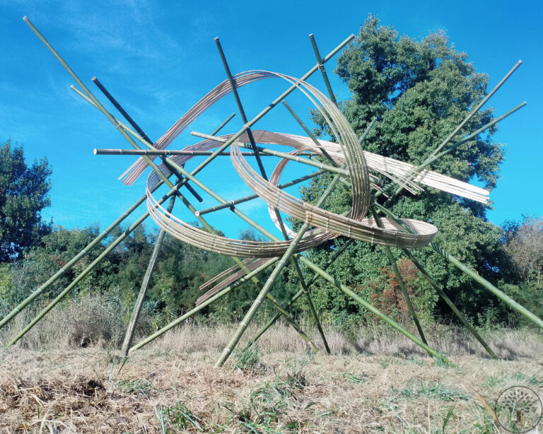 Nicolas Fouilloud Rhizaum artist bamboo sentiers des arts royan 6